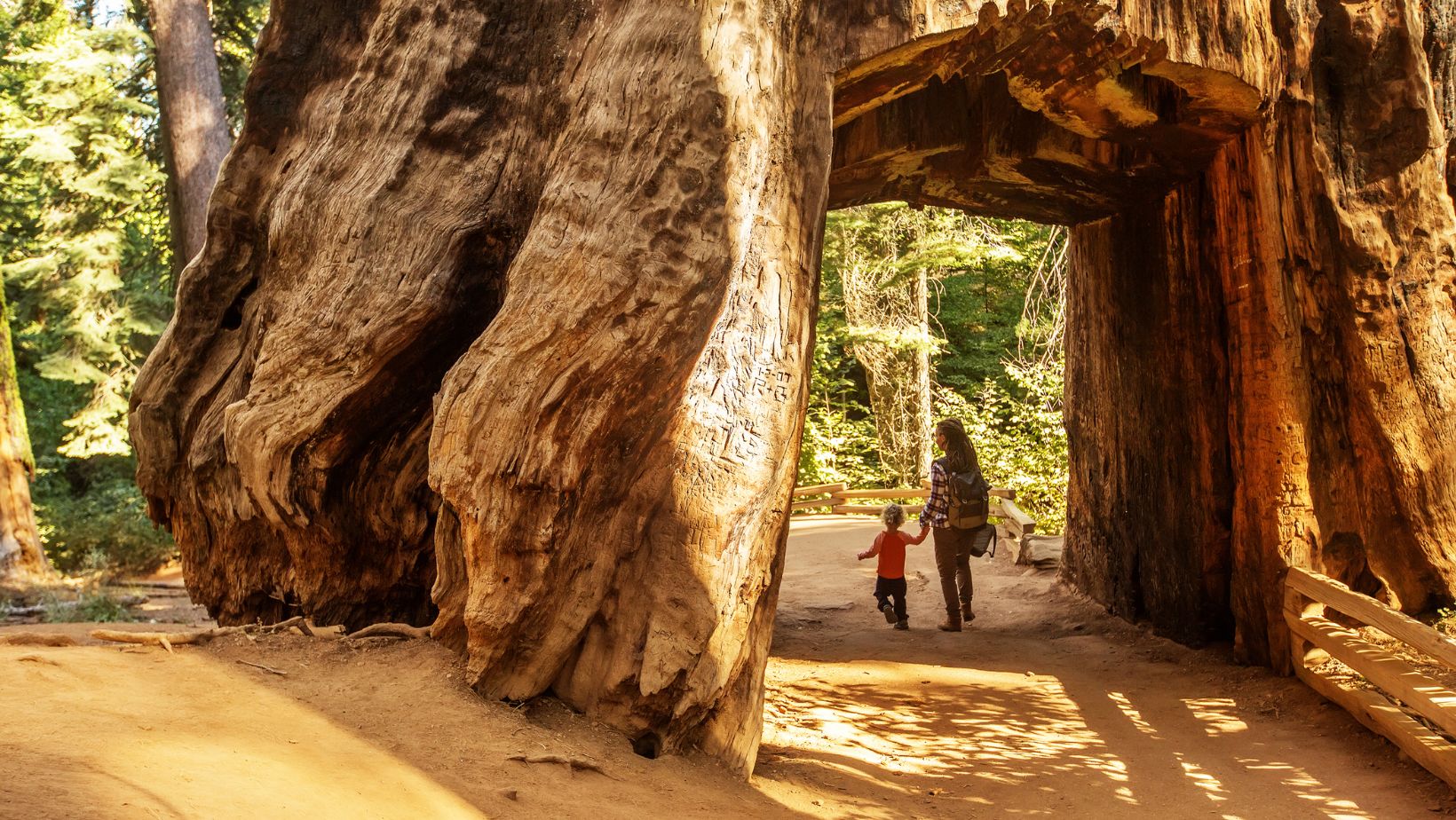 yosemite backpacking